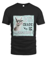 Unisex Standard T-Shirt (Overnight)