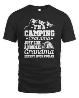 Unisex Standard T-Shirt (Overnight)