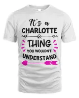 Unisex Standard T-Shirt (Overnight)