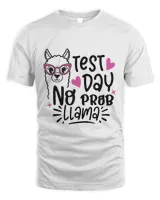 Unisex Standard T-Shirt (Overnight)