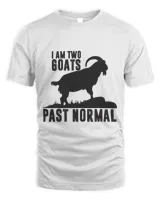 Unisex Standard T-Shirt (Overnight)