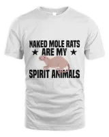 Unisex Standard T-Shirt (Overnight)