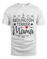 Unisex Standard T-Shirt (Overnight)