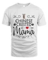 Unisex Standard T-Shirt (Overnight)