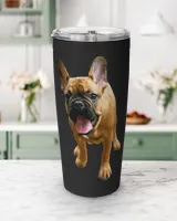 Viking Tumbler (20oz)