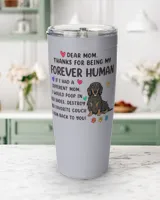Viking Tumbler (20oz)