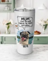 Viking Tumbler (20oz)