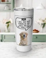 Viking Tumbler (20oz)