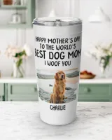 Viking Tumbler (20oz)