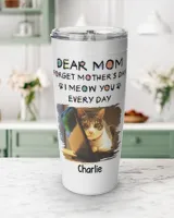 Viking Tumbler (20oz)