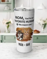 Viking Tumbler (20oz)