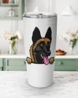 Viking Tumbler (20oz)