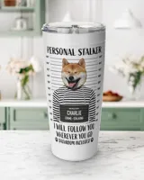Viking Tumbler (20oz)