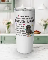 Viking Tumbler (20oz)