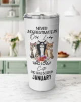 Viking Tumbler (20oz)