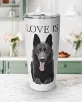 Viking Tumbler (20oz)