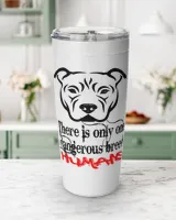 Viking Tumbler (20oz)