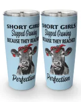 Viking Tumbler (20oz)