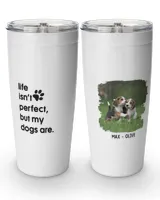 Viking Tumbler (20oz)