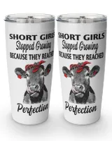 Viking Tumbler (20oz)