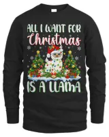 Men&#39;s Long Sleeved T-Shirt