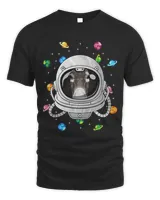 Donkey Astronaut Animal Deep In Space Cosmic Universe