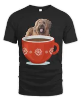 Men's Standard T-Shirt