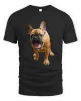 Men's Standard T-Shirt
