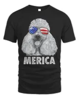 Men's Standard T-Shirt