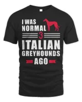 Men's Standard T-Shirt