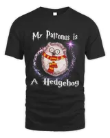 Men's Standard T-Shirt