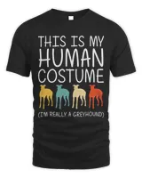 Men's Standard T-Shirt