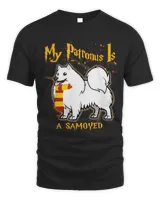 Men's Standard T-Shirt
