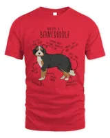 Men's Standard T-Shirt