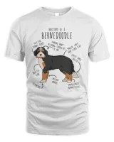 Men's Standard T-Shirt