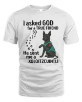 Men's Standard T-Shirt