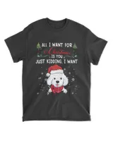 Men's Standard T-Shirt