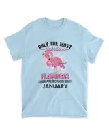 Men's Standard T-Shirt
