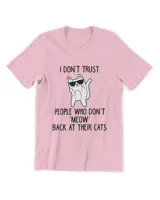 Men's Premium Tshirt