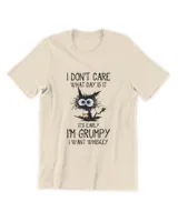 Men's Premium Tshirt