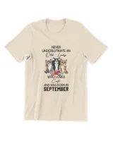 Men's Premium Tshirt