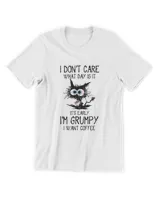 Men's Premium Tshirt