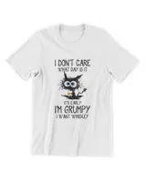 Men's Premium Tshirt