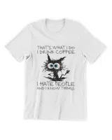 Men's Premium Tshirt