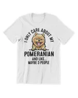 Men's Premium Tshirt