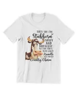 Unisex Premium T-Shirt