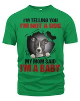 Men's Premium Tshirt