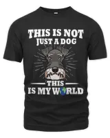 Unisex Premium T-Shirt