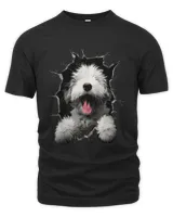 Men's Premium Tshirt
