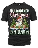 Men&#39;s Premium Tshirt